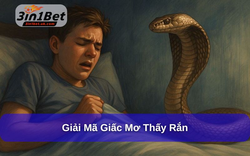 Mơ Thấy Rắn Đánh Con Gì? Giải Mã Số Mơ Lô Đề Chi Tiết Luận giải hung cát khi mơ thấy rắn phải tùy bối cảnh