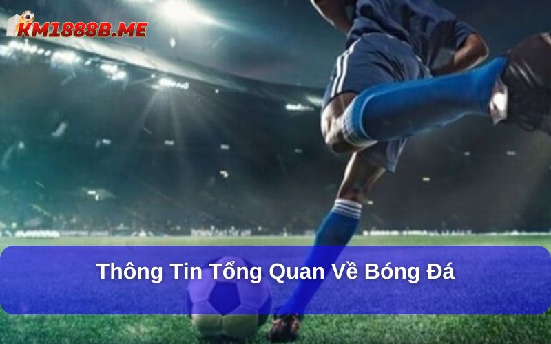 Thông tin tổng quan về bóng đá